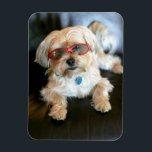 Anpassningsbar Photo Refrigerator Magnet<br><div class="desc">Anpassningsbar Photo Refrigerator Magnet</div>