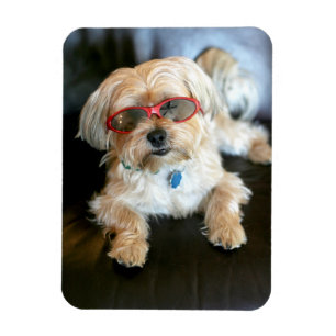 Anpassningsbar Photo Refrigerator Magnet