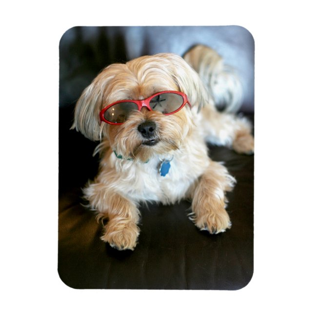 Anpassningsbar Photo Refrigerator Magnet (Vertikal)