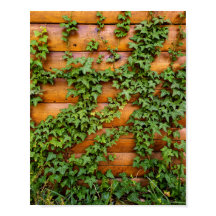 Anpassningsbar Photo Rustic Ivy på Log Cabin Wall