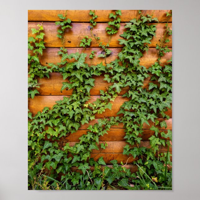 Anpassningsbar Photo Rustic Ivy på Log Cabin Wall  Poster (Framsidan)