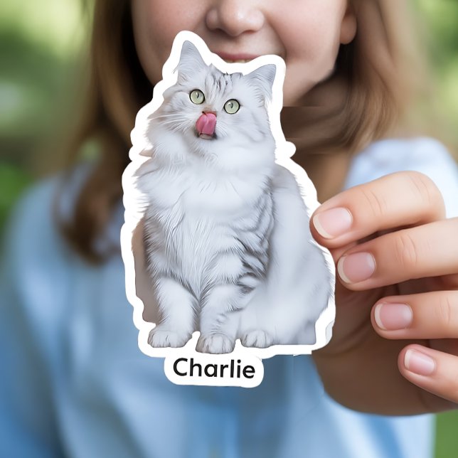 Anpassningsbar Photo Stickers | Personlig vinyldea Klistermärken (Custom Photo Vinyl Stickers)