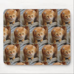 Anpassningsbar Photo Template Collage Pet Family Musmatta<br><div class="desc">Den här designen har skapats genom digital grafik. Det kan vara personlig i området som tillhandahåller eller anpassar genom att klicka för att anpassa ytterligare alternativ och ett namn, initialer eller ord. Du kan också ta bort texten för en bild som bara är en design. Kontakta mig på colorflowcreations@gmail.com om...</div>