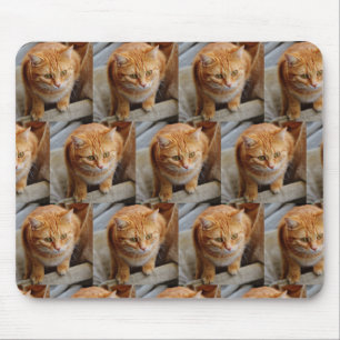 Anpassningsbar Photo Template Collage Pet Family Musmatta