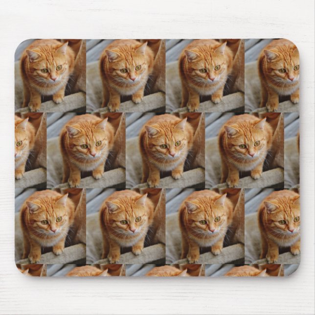 Anpassningsbar Photo Template Collage Pet Family Musmatta (Framsidan)