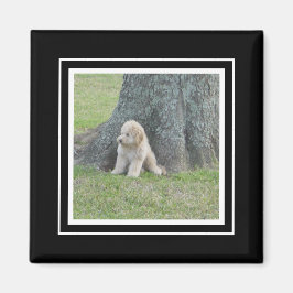Anpassningsbar Photo Template True Black & White Magnet