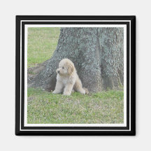 Anpassningsbar Photo Template True Black & White