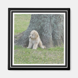 Anpassningsbar Photo Template True Black & White Magnet