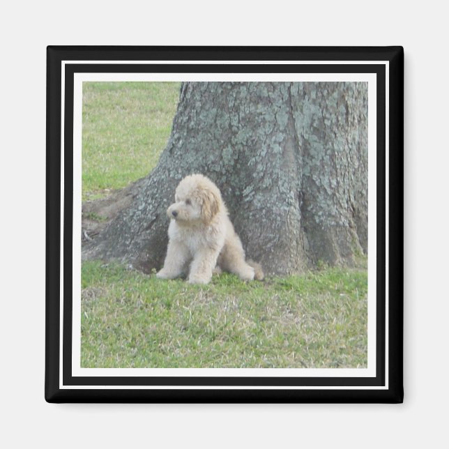 Anpassningsbar Photo Template True Black & White Magnet (Framsidan)