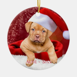 Anpassningsbar Pitbull Puppy Hund Photo Julgransprydnad Keramik