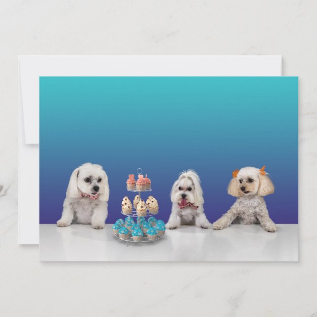 Anpassningsbar platt festinbjudan 5x7 inbjudningar (Framsida)