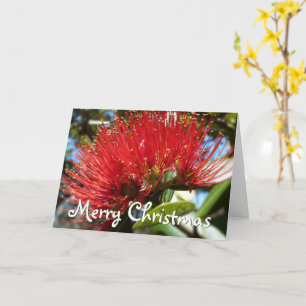 ANPASSNINGSBAR POHUTAKAWA JUL KIWI KORT