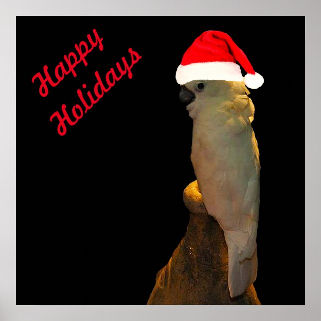 Anpassningsbar Posing Santa helgdag Cockatoo-fågel Poster (Framsidan)