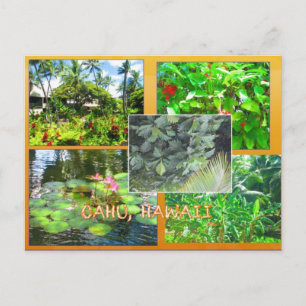 ANPASSNINGSBAR POSTCARDS- HAWAII COLLAGE# 16 VYKORT