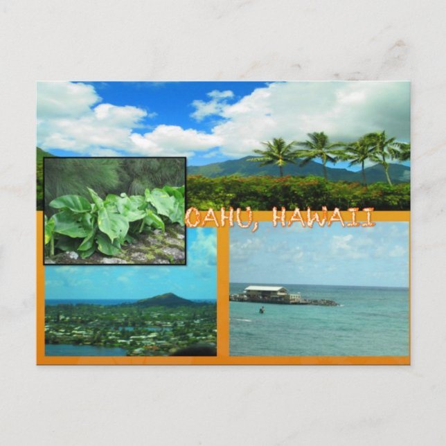 ANPASSNINGSBAR POSTCARDS- HAWAII COLLAGE# 20 VYKORT (Framsida)