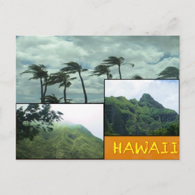 ANPASSNINGSBAR POSTCARDS- HAWAII COLLAGE# 24 VYKORT (Framsida)