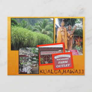 ANPASSNINGSBAR POSTCARDS- HAWAII COLLAGE# 25 VYKORT