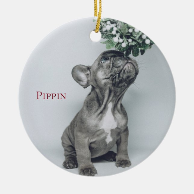 Anpassningsbar Puppy Hund Pet Photo Ceramic Orname Julgransprydnad Keramik (Framsidan)