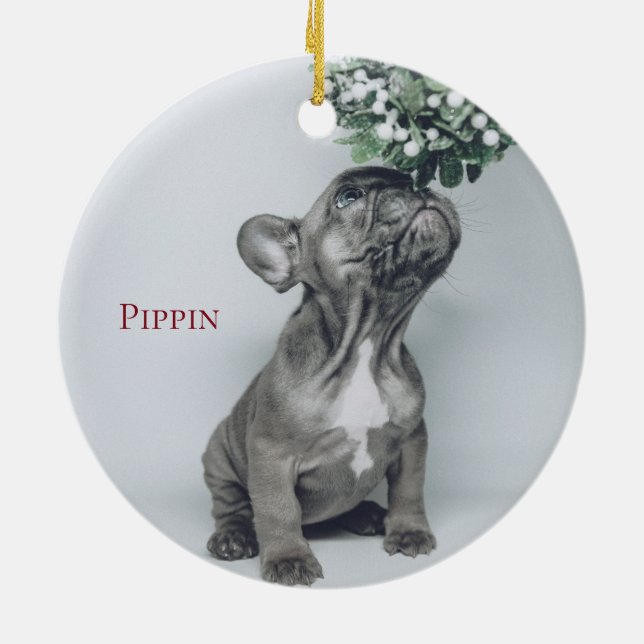 Anpassningsbar Puppy Hund Pet Photo Ceramic Orname Julgransprydnad Keramik (Baksidan)