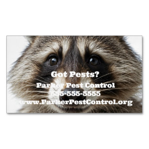 Anpassningsbar Raccoon Pest Control Affärskort Mag Magnetiska Visitkort