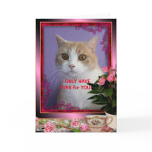 Anpassningsbar rolig katts valentinpresent