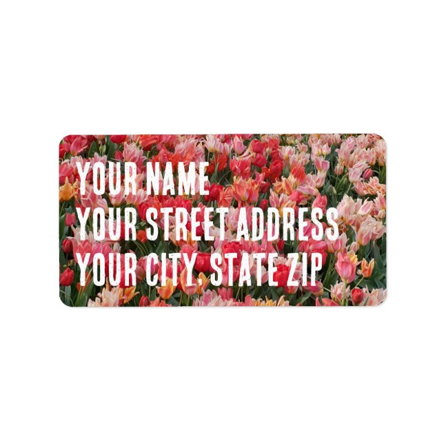 Anpassningsbar Rosa Tulip Blomsterträdgård Adressetikett (Framsidan)