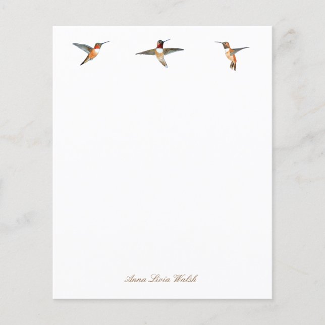 Anpassningsbar Rufous Hummingbird Stationery Pappe (Framsida)