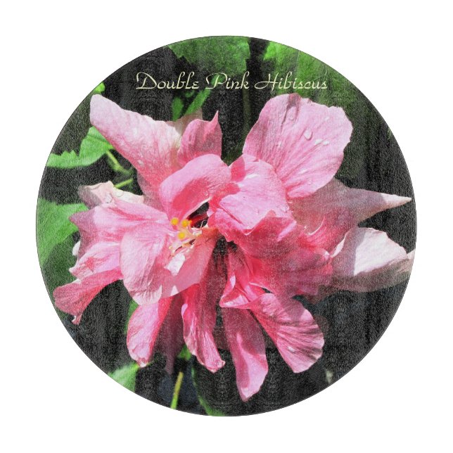 Anpassningsbar Rund glasskärl/trivet 12 tum (Framsidan)