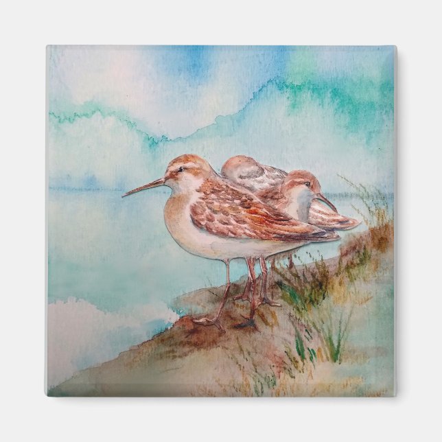 Anpassningsbar Sandpiper Shore Beach Bird Art Magnet (Framsidan)