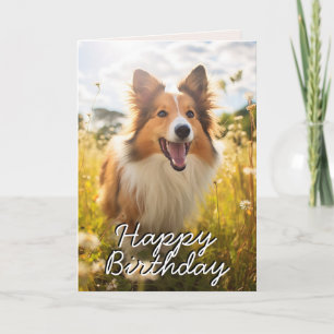Anpassningsbar Shetland Sheepdog Birthday Card Tack Kort