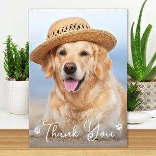 Anpassningsbar Simple Hund Pet Photo Vet Tech Vete Tack Kort