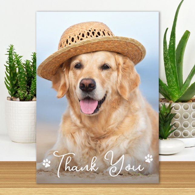 Anpassningsbar Simple Hund Pet Photo Vet Tech Vete Tack Kort (Skapare uppladdad)