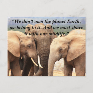 Anpassningsbar Slogan/Conservation Elephant Family Helg Vykort