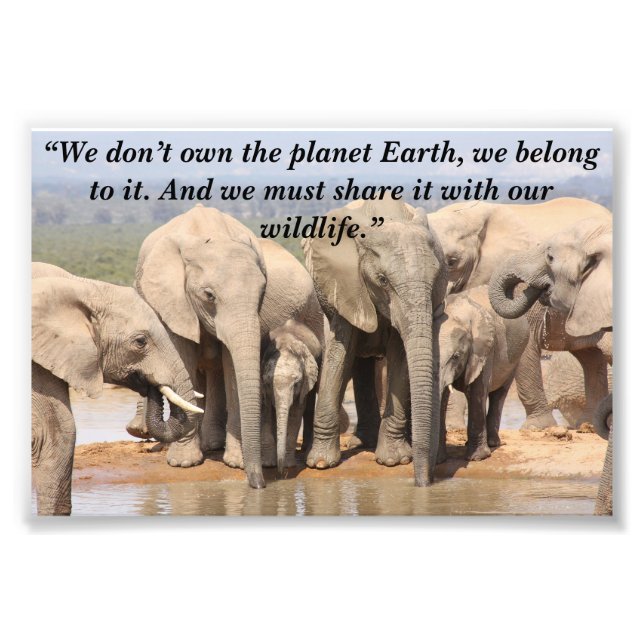 Anpassningsbar Slogan/Conservation Elephant Herd S Fototryck (Framsidan)