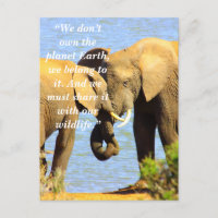 Anpassningsbar Slogan/Conservation Elephant Kärlek