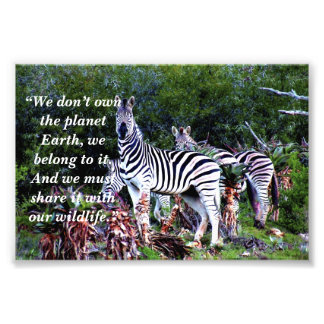 Anpassningsbar Slogan/Conservation Zebra Aloe Fototryck
