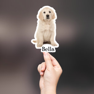 Anpassningsbar Sticker, Anpassningsbar Hund Sticke Klistermärken