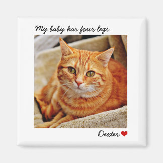 Anpassningsbar Stor Photo Personlig Pet Magnet