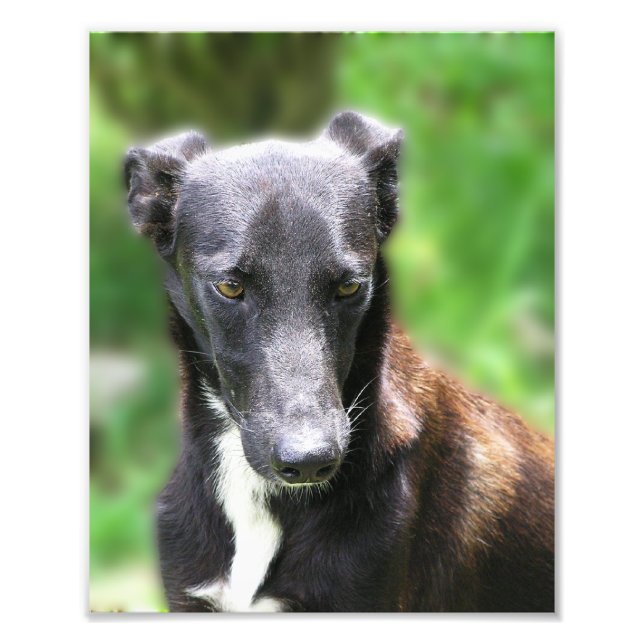 Anpassningsbar Storlek 8 X 10 fotoutskrift Fototryck (Framsidan)