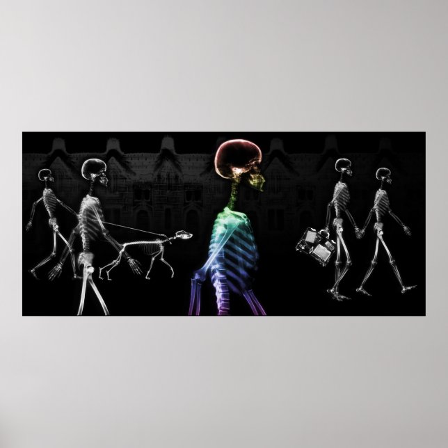 Anpassningsbar Storlek X-Ray Aquarium Background S Poster (Framsidan)