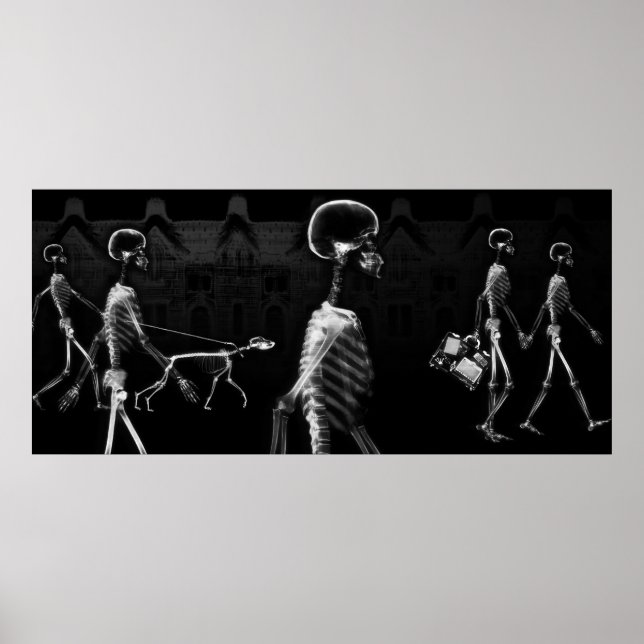 Anpassningsbar Storlek X-Ray Skeleton Aquarium Bac Poster (Framsidan)