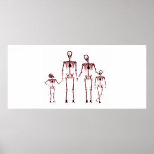 Anpassningsbar Storlek Xray Aquarium Background Sk Poster