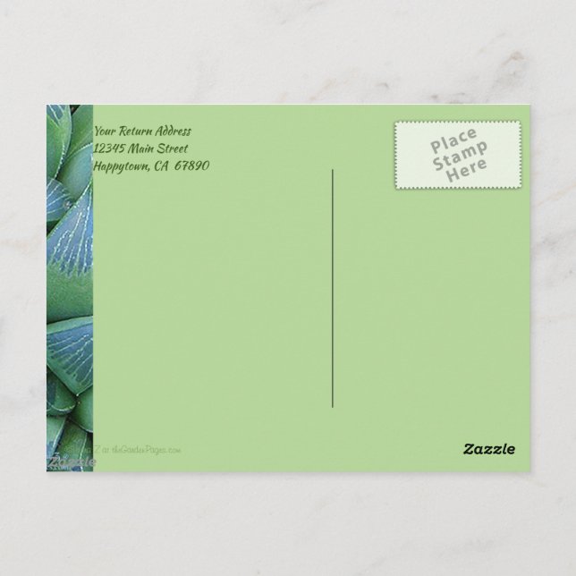 Anpassningsbar Tack Grönt Strålkastarkort Vykort (Baksida)