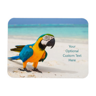 Anpassningsbar text Beach Parrot Magnet