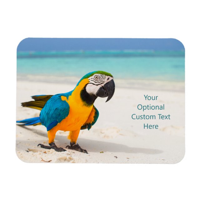 Anpassningsbar text Beach Parrot Magnet (Horisontell)