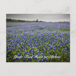 Anpassningsbar Text Blue Vår Bluebonnets Texas Flo Vykort