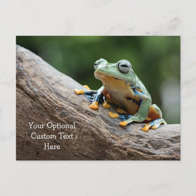 Anpassningsbar Text Frog vykort (Framsida)