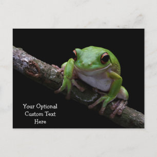 Anpassningsbar Text Frog vykort