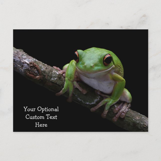 Anpassningsbar Text Frog vykort (Framsida)