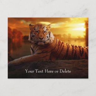 Anpassningsbar Text Gorgfull Orange Vild Tiger Gul Vykort